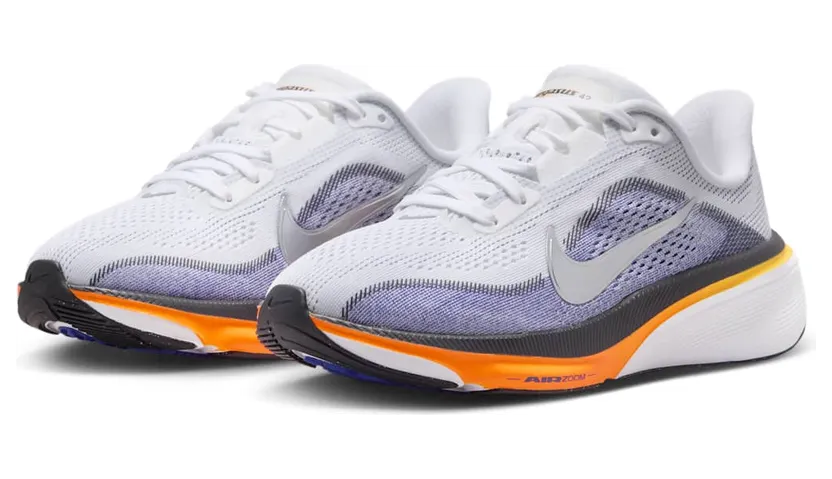 nike-air-pegasus IH2306-100
