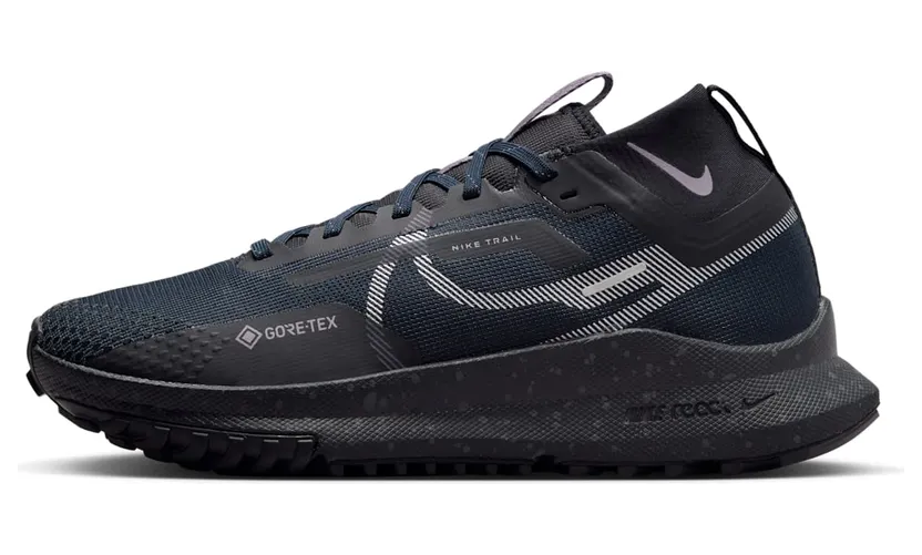 Nike Pegasus Trail 4 Gore-Tex Dark Obsidian Metallic Silver (FZ4343-400)