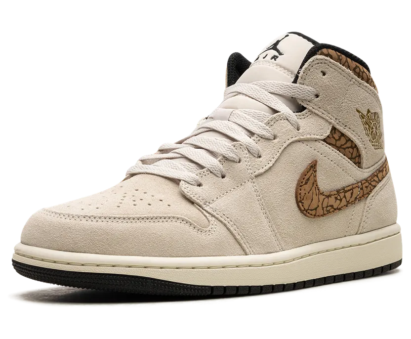air-jordan-1 DZ4129-102