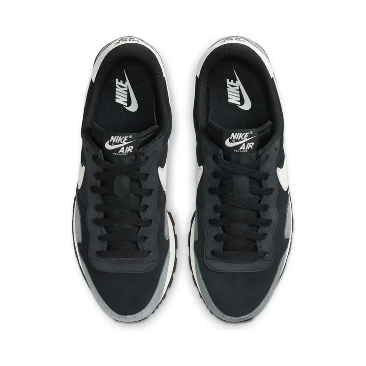 nike-air-pegasus DN1790-001