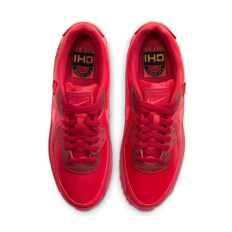 Nike Air Max 90 City Special Chicago (DH0146-600)