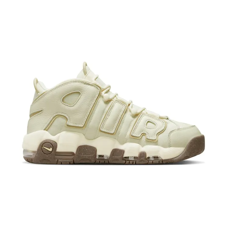 nike-air-more-uptempo DV7230-100