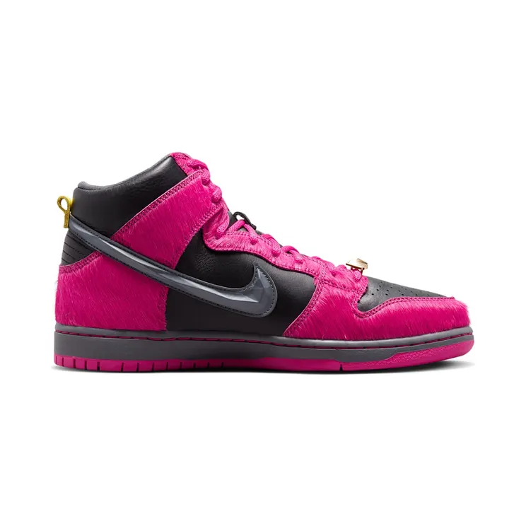 nike-dunk-sb DX4356-600