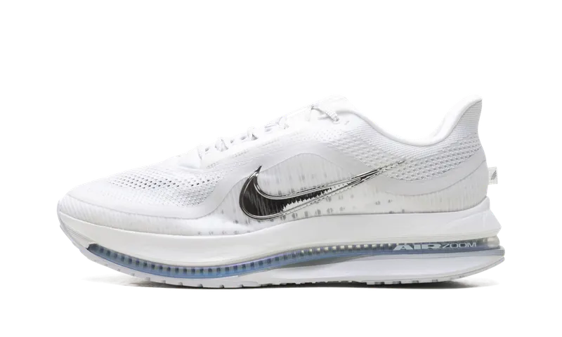 Nike Pegasus Premium “White Metallic Silver” (HQ2592-102)