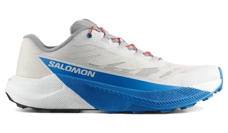 Salomon Pulsar Lunar Rock French Blue (L47973300)