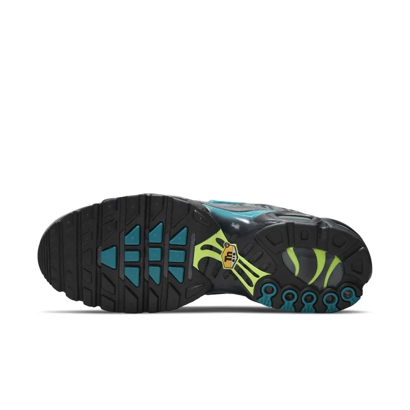 Nike Air Max Plus Grey (DJ6896-070)