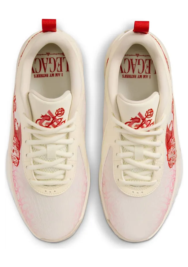 nike-zoom HM4216-100