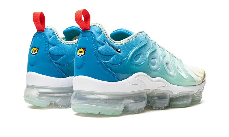 Nike AIR VAPORMAX PLUS MNS “Since 1972” (DQ7651-300)