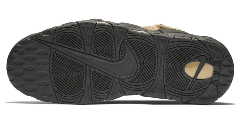 nike-air-more-money AJ2998-700