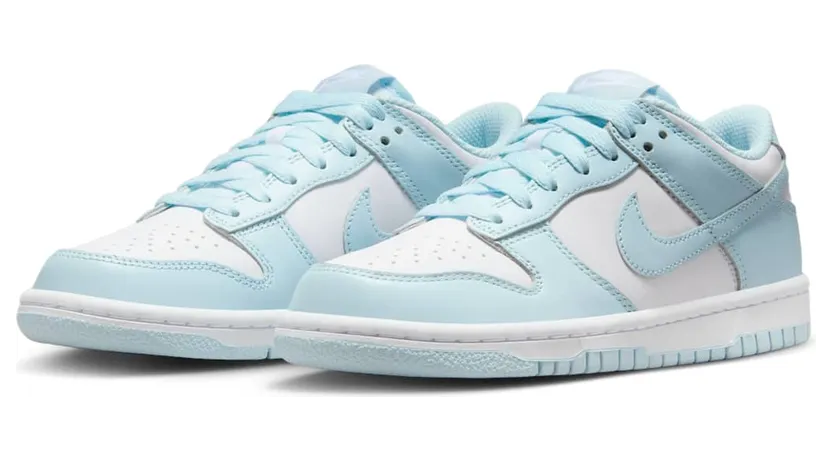 nike-dunk FB9109-105