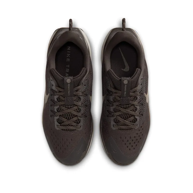 Nike Pegasus Trail Bruin (FV5638-201)