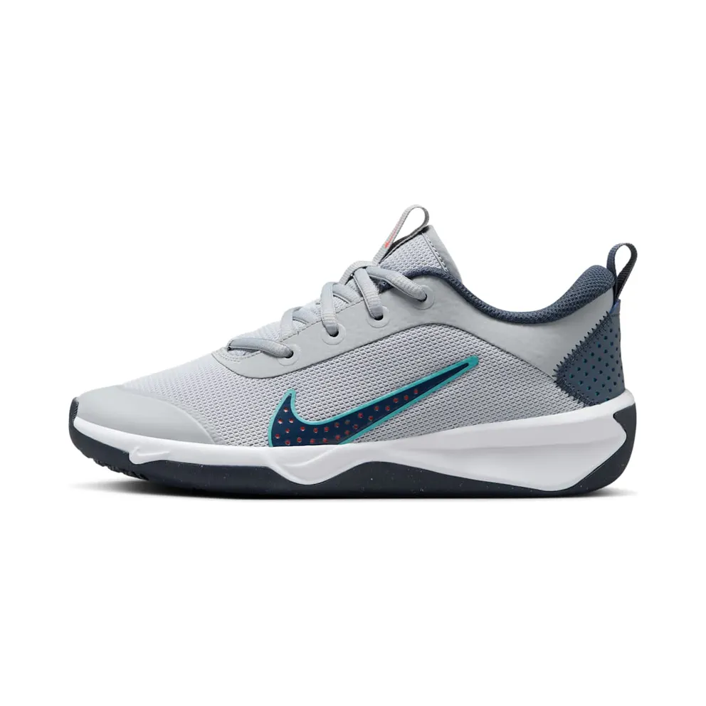 Nike Omni Multi-Court Wolf Grey Bright Crimson Dusty Cactus Thunder Blue (DM9027-010)