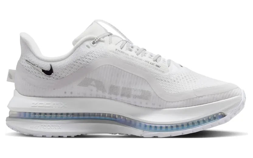 nike-air-pegasus HQ2593-102