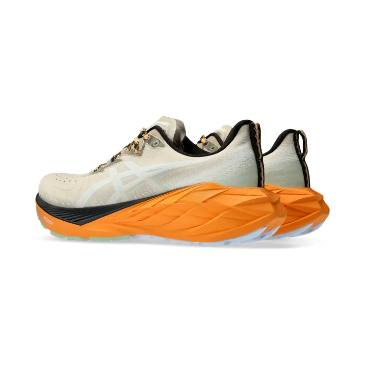 asics-novablast 1011B850.250