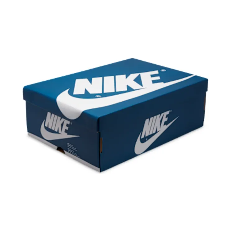 air-jordan-1 DZ5485-410