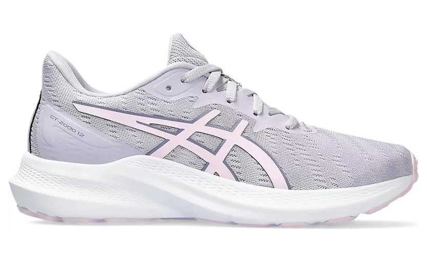 Asics Gt-2000 12 Gs Faded Ash Rock/Cosmos (1014A330.500)