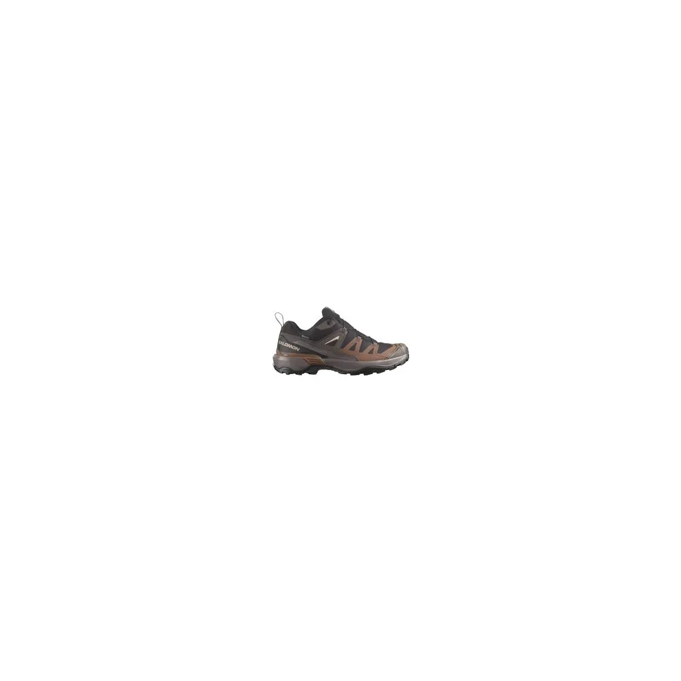 Salomon X Ultra 360 Brown (L45473300)