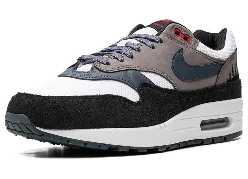 nike-air-max FJ0698-100