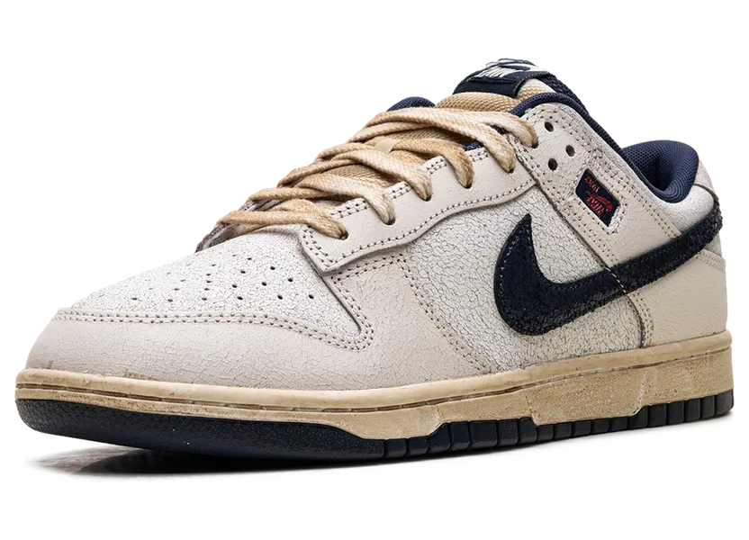 nike-dunk IH6766-001
