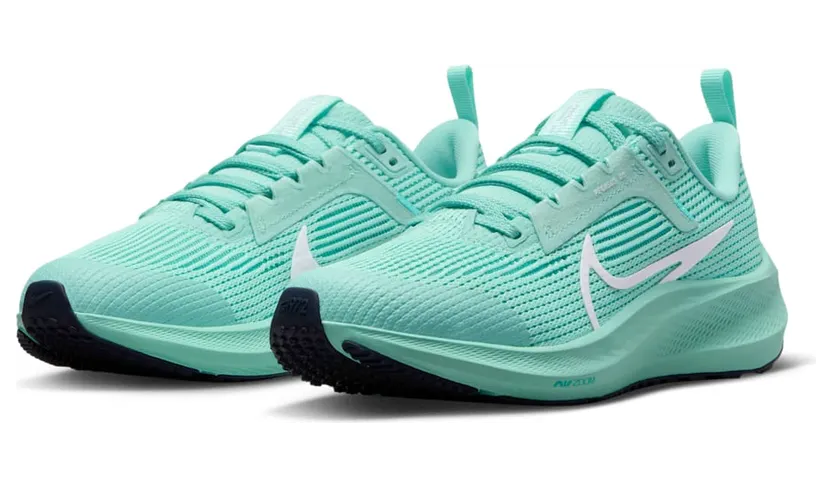 nike-air-pegasus DX2498-300