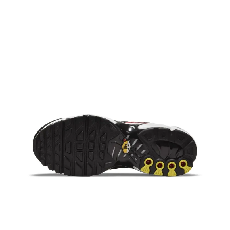 Nike Air Max Plus Bruin (CD0609-200)