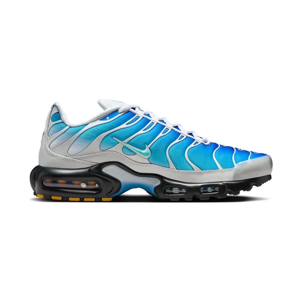 Nike Air Max Plus One Block Down Light Photo Blue (FZ3308-400)