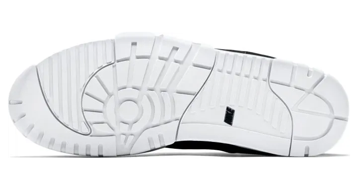 air-jordan-trainer-1 317554-005