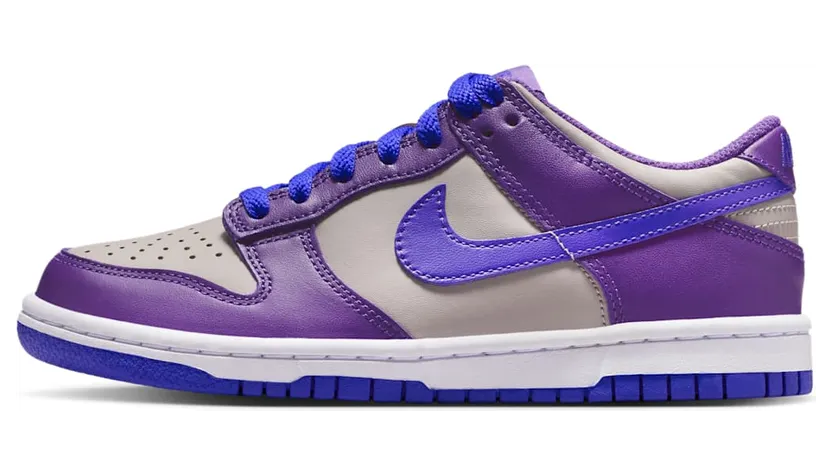 Nike Dunk Low FB9109-007