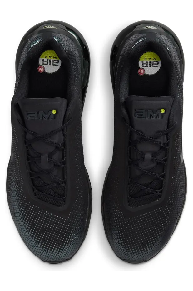 nike-air-max FZ5307-004