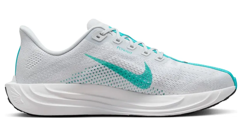 nike-air-pegasus FQ7262-004