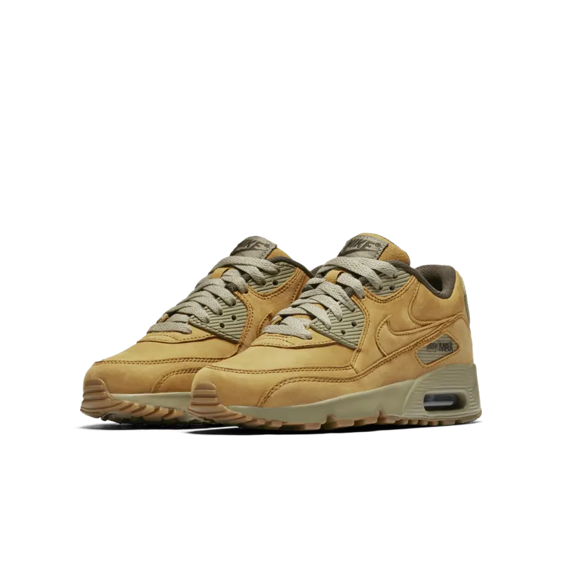 Nike Air Max 90 Winter Wheat (GS)