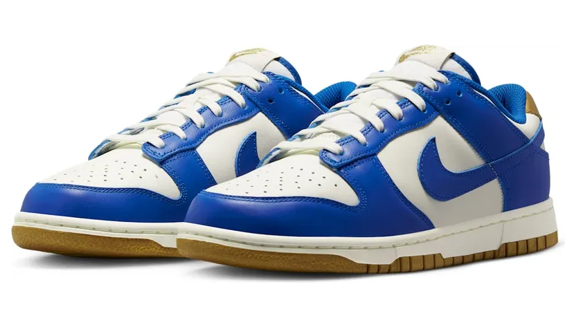 nike-dunk FB7173-141