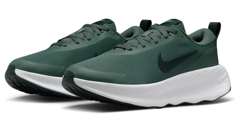 nike-promina FV5285-301