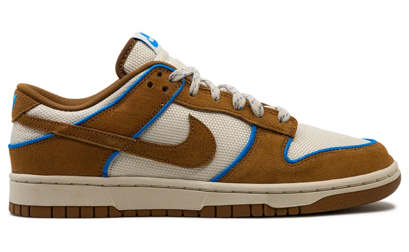 nike-dunk FN5825-100