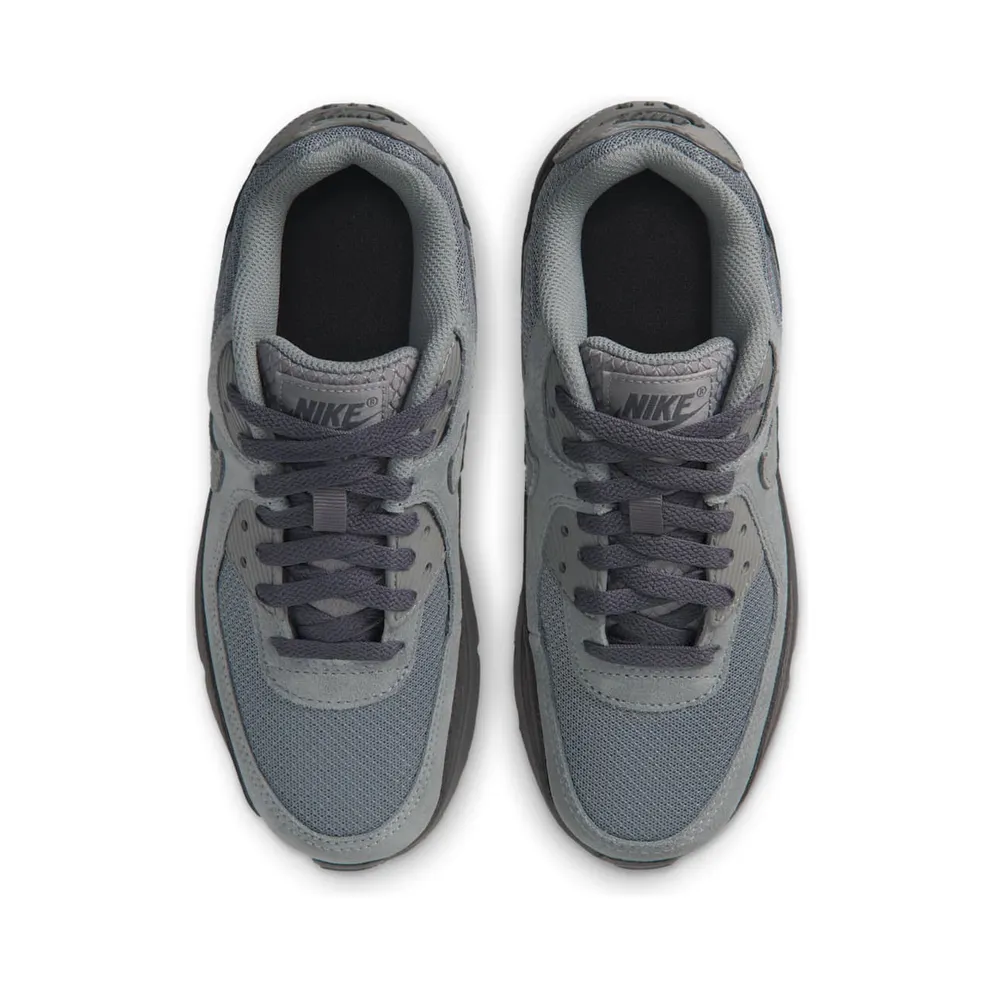 Nike Air Max 90 Smoke Grey/Dark Smoke Grey/Blue Crystal/Iron Grey (IR5583-001)