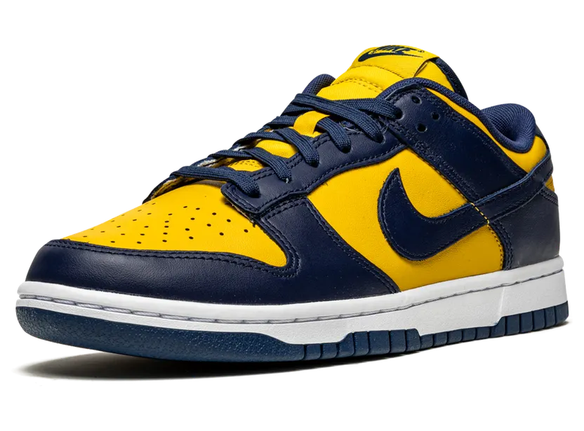 nike-dunk DD1391-700
