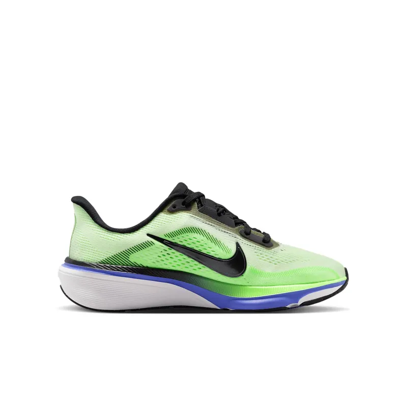 Nike Pegasus Volt Tint/Sapphire/Lime Blast/Black Spruce (IH2306-700)
