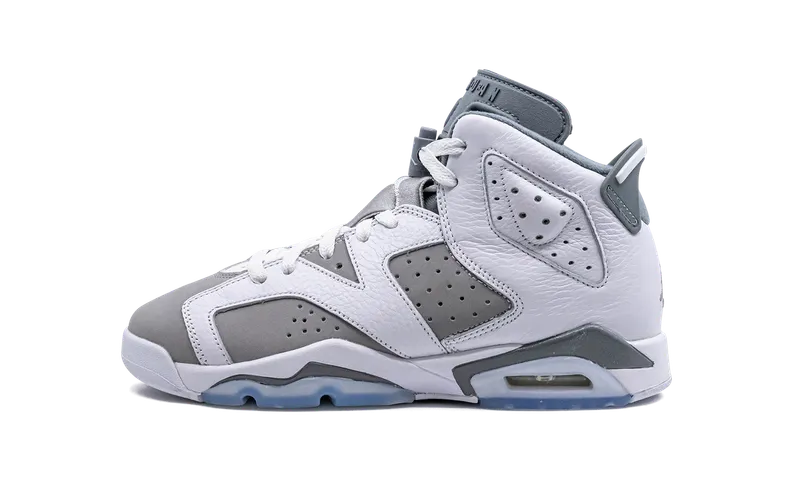 Air Jordan 6 GS “Cool Grey” (384665-100)