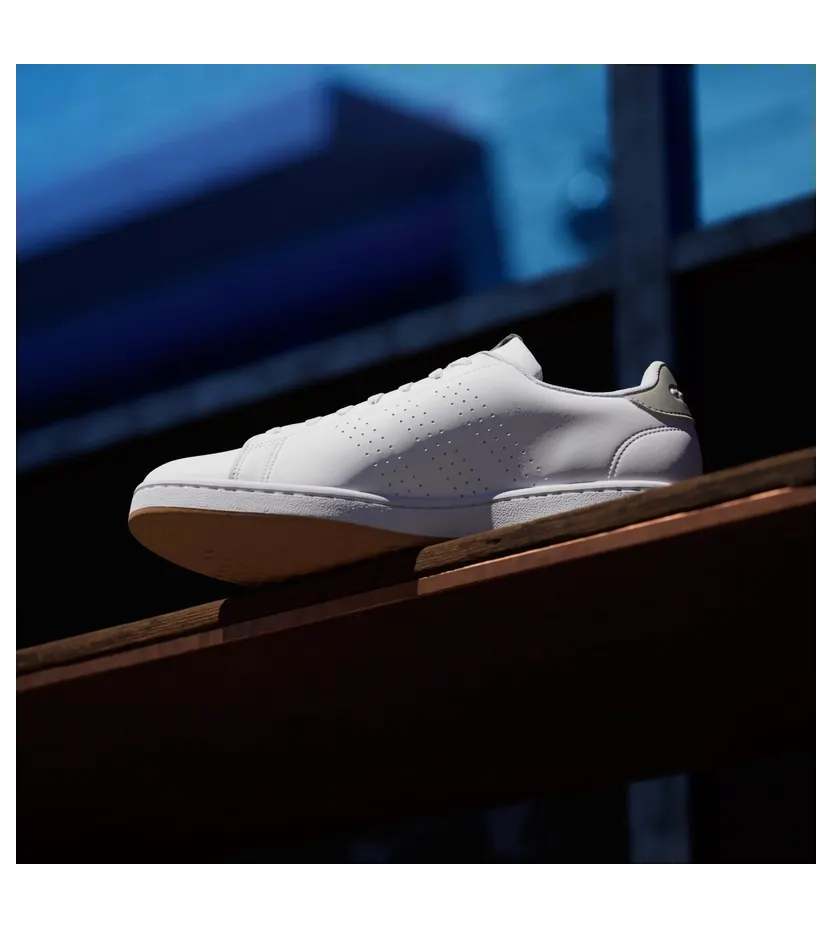 adidas-advantage GZ5303