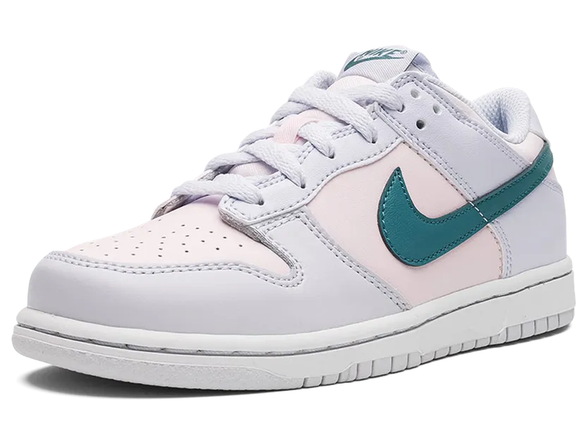 nike-dunk FD1228-002