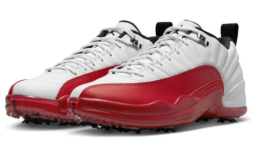 air-jordan-12 DH4120-161