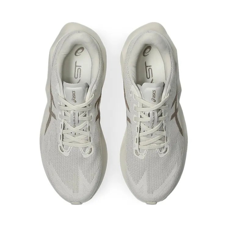 asics-novablast 1011C243-250
