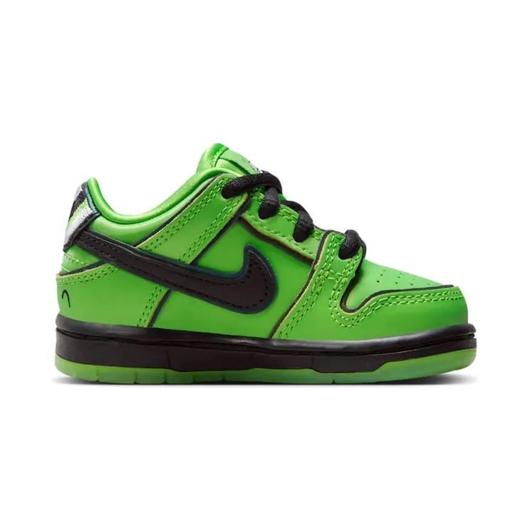 nike-dunk-sb FZ8831-300