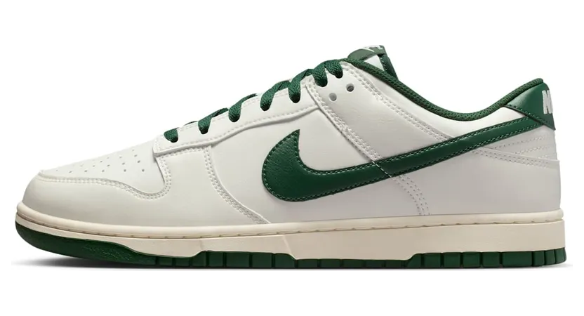 nike-dunk HF5441-115