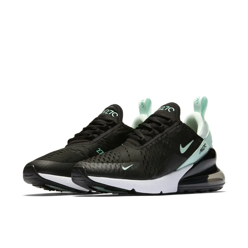 Nike Air Max 270 Igloo (W) (AH6789-008)