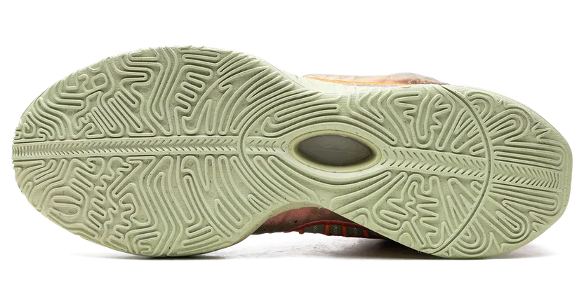 nike-lebron FN0708-800