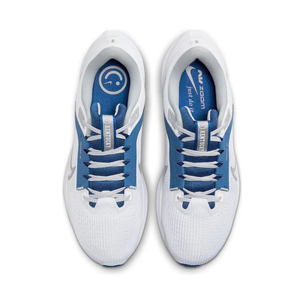 Nike Pegasus 40 Kentucky (DZ5986-100)