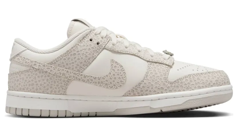 nike-dunk FV6516-001