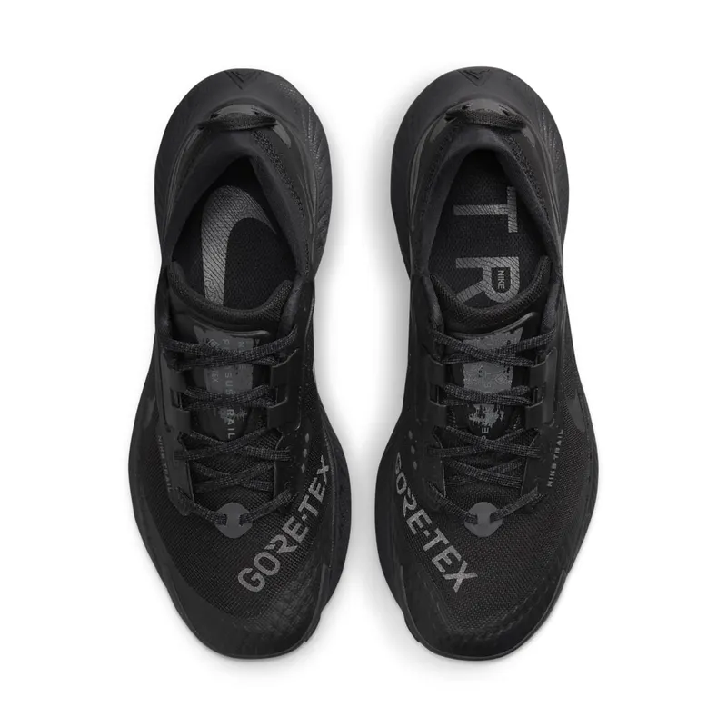 Nike Pegasus Trail 3 GORE-TEX Waterproof Trail Running Black (DC8794-001)