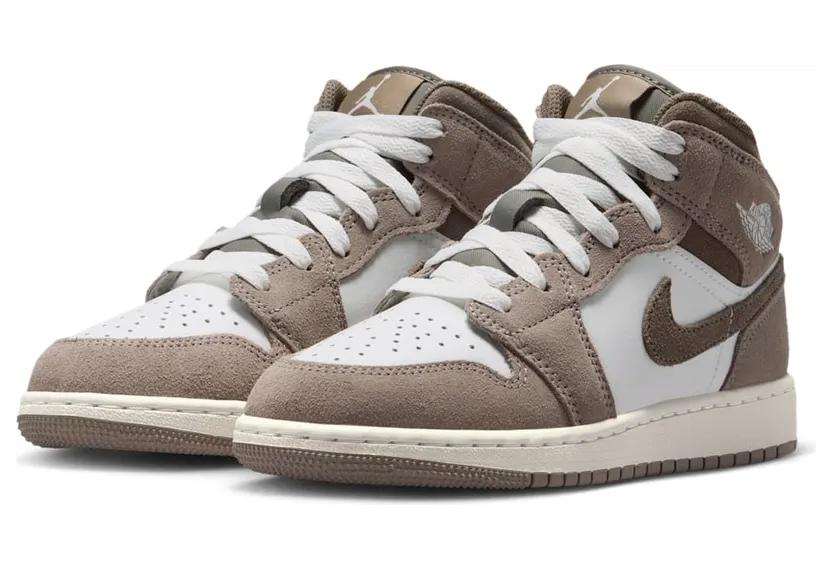 air-jordan-1 DQ8423-003